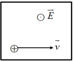 Một proton chuyển động thẳng đều trong miền có cả từ trường đều và điện trường đều. Vectơ vận tốc của hạt và hướng đường sức điện trường như hình vẽ. E = 800 V/m, v = 2.106 m/s. Xác định hướng và độ lớn B: (ảnh 1)