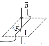 Một đoạn dây dẫn có dòng điện I nằm ngang đặt trong từ trường có đường sức từ thẳng đứng từ trên xuống như hình vẽ. Lực từ tác dụng lên đoạn dây dẫn có chiều (ảnh 2)