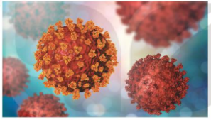 Năm 2019, một dịch bệnh mới gây bệnh viêm phổi cấp xuất hiện do một loại virus hoàn toàn mới lạ và được đặt tên là SARS-CoV-2 (hình bên). Virus gây bệnh theo cơ chế nào và có các biện pháp nào để phòng chống virus? (ảnh 1)