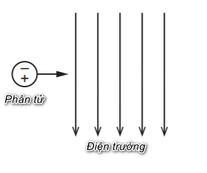  Lưỡng cực điện xảy ra khi các điện tích dương và âm (ví dụ một proton và một điện tử hoặc một cation và một anion) tách rời khỏi nhau và cách nhau một khoảng không đổi. Một phân tử hoạt động (ảnh 1)