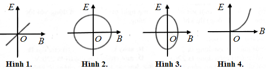 Đồ thị nào sau đây biểu diễn mối quan hệ giữa cảm ứng từ B và cường độ điện trường E tại một điểm trong không gian có sóng điện từ truyền qua (ảnh 1)