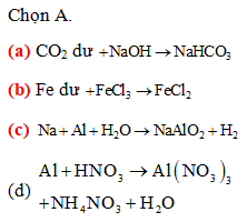 Tiến hành các thí nghiệm sau:  (a) Sục khí CO2 dư vào dung dịch (ảnh 1)