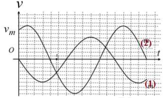 Hai chất điểm dao động điều hòa cùng tần số dọc theo hai đường thẳng song song kề nhau và song song với trục tọa độ Ox. Vị trí cân bằng của chúng đều ở trên một (ảnh 1)