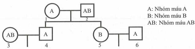Phả hệ dưới đây mô tả hệ (ảnh 1)