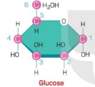 Tại sao cùng có chung công thức cấu tạo C6H12O6  nhưng glucose và fructose lại có vị ngọt khác nhau? (ảnh 1)