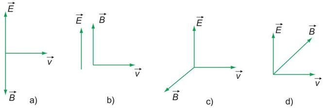 Trong các hình sau, hình nào diễn tả đúng phương và chiều của cường độ điện trường (ảnh 1)