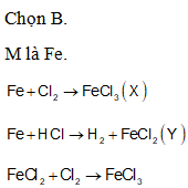 Cho kim loại M phản ứng với Cl2, thu được muối X. Cho M tác dụng với (ảnh 1)