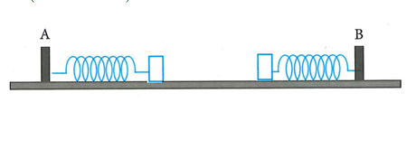 Một lò xo nhẹ có chiều dài tự nhiên l0 và độ cứng k = 16N/m, được cắt thành (ảnh 1)