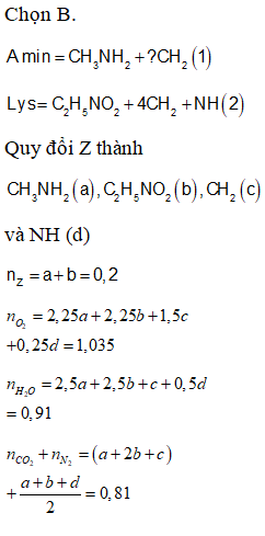 Hỗn hợp X chứa hai amin kế tiếp thuộc dãy đồng đẳng của metyl amin. (ảnh 1)