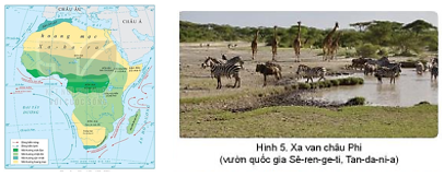  Dựa vào thông tin và hình ảnh trong mục d, hãy trình bày đặc điểm của một trong các môi trường tự nhiên ở châu Phi (ảnh 1)