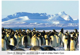 Dựa vào thông tin và hình ảnh trong mục a, nêu đặc điểm tự nhiên của châu Nam Cực. (ảnh 1)
