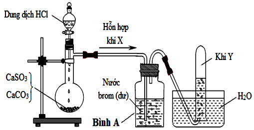 Hình vẽ sau đây mô tả thí nghiệm điều chế và thu khí Y từ hỗn hợp rắn gồm CaCO3 và CaSO3. (ảnh 1)
