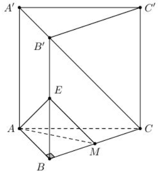  Cho hình lăng trụ đứng ABC.A'B'C' có đáy là tam giác vuông và AB = BC = a,AA' = a căn 2 ,M là trung điểm BC. (ảnh 1)