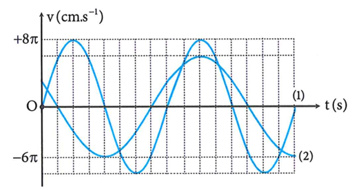 Đồ thị vận tốc - thời gian của hai con lắc (1) và (2) được cho bởi hình vẽ. Biết (ảnh 1)