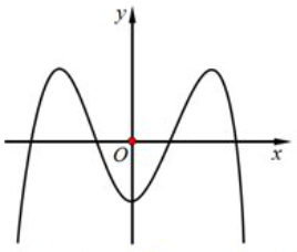 Đồ thị hàm số nào dưới đây có dạng như đường cong trong hình vẽ? (ảnh 1)