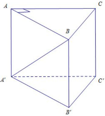 Đáy của lăng trụ đứng tam giác ABC.A'B'C' là tam giác ABC vuông cân tại A có cạnh BC = a căn 2 và biết A'B=3a.  (ảnh 1)