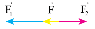 Biểu diễn quy tắc cộng vectơ cho trường hợp lực F2 ngược chiều với lực F1 khi F1 > F2 và khi F1 <  F2. (ảnh 1)
