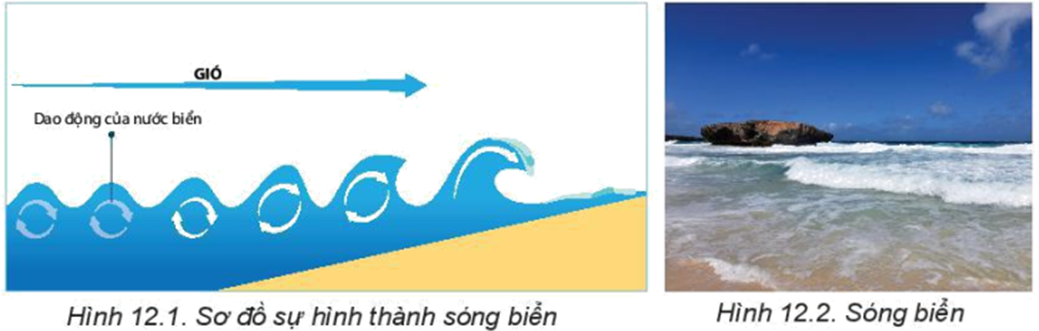 Dựa vào thông tin trong mục a và hình 12.1, 12.2, hãy giải thích hiện tượng sóng biển. (ảnh 1)
