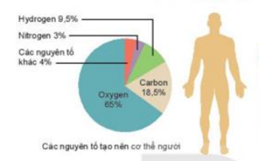 Oxygen, carbon, hydrogen, nitrogen, … là các nguyên tố hóa học tạo nên cơ thể người. Vậy nguyên tố hóa học là gì? (ảnh 1)