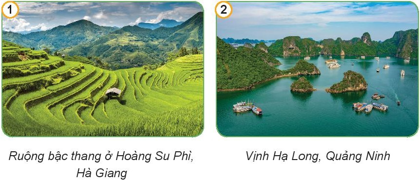 a. Vẻ đẹp của đất nước Việt Nam (ảnh 1)