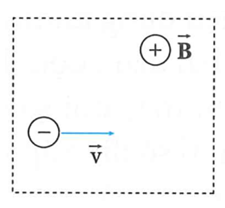 Một electron chuyển động thẳng đều trong miền có cả từ trường đều và điện (ảnh 1)