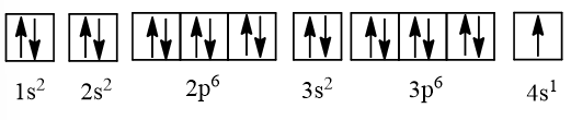 Nguyên tử của nguyên tố potassium có 19 electron. Ở trạng thái cơ bản, potassium có số orbital chứa electron là (ảnh 1)