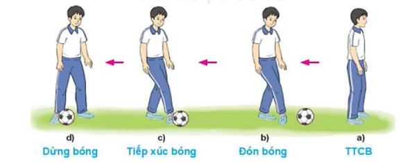 Vận dụng phối hợp kĩ thuật đá bóng và dừng bóng bằng lòng bàn chân để luyện tập, vui chơi hàng ngày (ảnh 2)