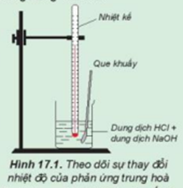 Theo dõi sự thay đổi nhiệt độ của phản ứng trung hoà  Chuẩn bị: dung dịch HCl 0,5 M, dung dịch NaOH 0,5 M, 1 cốc 150 mL, giá treo nhiệt kế, nhiệt kế (có dải đo đến 100°C), que khuấy và 2 ống đong 100 mL. (ảnh 1)