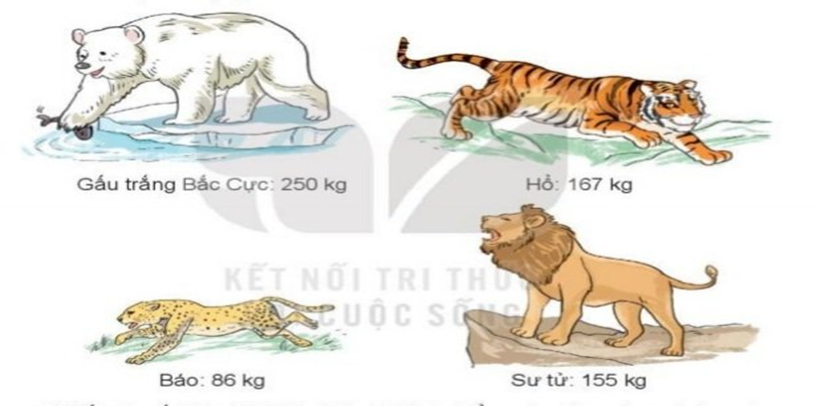 a) Cân nặng của mỗi con vật được cho dưới đây. Viết tên các con vật  (ảnh 1)