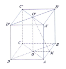 Cho hình lập phương có cạnh bằng a. Diện tích toàn phần của hình nón có đỉnh là  (ảnh 1)