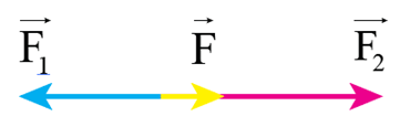 Biểu diễn quy tắc cộng vectơ cho trường hợp lực F2 ngược chiều với lực F1 khi F1 > F2 và khi F1 <  F2. (ảnh 2)