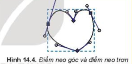 Nhận dạng điểm neo Quan sát hình trái tim, xác định xem các điểm (ảnh 1)