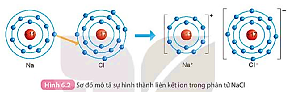 Quan sát Hình 6.2 và so sánh số electron ở lớp ngoài cùng của nguyên tử Na, Cl với ion Na+, Cl-. (ảnh 1)