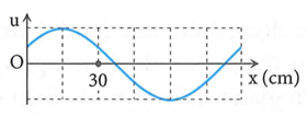 Một sóng cơ đang truyền theo chiều dương của trục Ox. Hình ảnh sóng (ảnh 1)