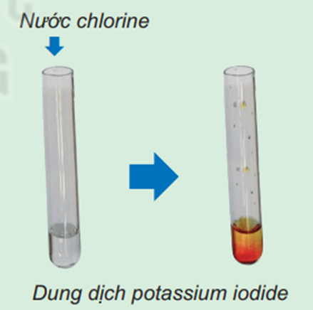 So sánh tính kim phi của chlorine và iodine  Chuẩn bị: Hình ảnh hoặc video phản ứng của nước của chlorine với dung dịch potassium iodide (∗).  Tiến hành: Quan sát hình ảnh hoặc xem video phản (ảnh 1)