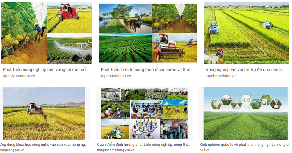 Sưu tầm thông tin về vai trò của ngành nông nghiệp đối với sự phát triển kinh tế - xã hội ở một quốc gia trên thế giới hoặc Việt Nam. (ảnh 1)