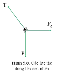 Hãy chứng tỏ rằng trong trường hợp con nhện ở trên, lực T cân bằng với hợp lực của hai lực P và Fđ.   (ảnh 1)