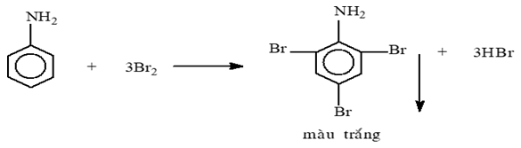 Kết quả thí nghiệm của các chất X, Y, Z với các thuốc thử được ghi ở bảng sau: Các chất X, Y, Z lần lượt là: 	A. etyl fomat, axit glutamic, anilin. 	B. axit glutamic, anilin, etyl fomat.  (ảnh 1)