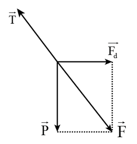 Hãy chứng tỏ rằng trong trường hợp con nhện ở trên, lực T cân bằng với hợp lực của hai lực P và Fđ.   (ảnh 2)
