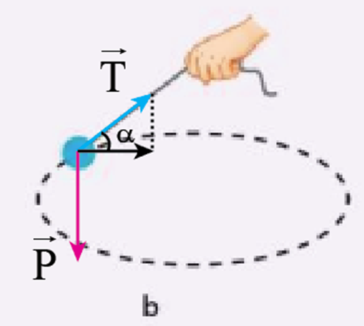 Trong mỗi tình huống trong hình 1.11, lực nào đóng vai trò là lực hướng tâm? Thảo luận về các điều kiện đảm bảo an toàn của chuyển động trong mỗi tình huống. (ảnh 3)