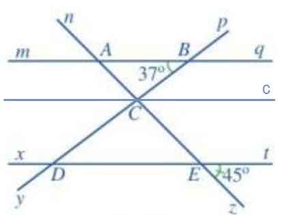 Quan sát Hình 55, trong đó mq // xt. a) Kể tên các cặp góc đồng vị bằng nhau. (ảnh 3)