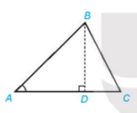 Cho tam giác ABC với đường cao BD a) Biểu thị BD theo AB và sin A. (ảnh 2)
