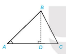 Cho tam giác ABC với đường cao BD a) Biểu thị BD theo AB và sin A. (ảnh 4)