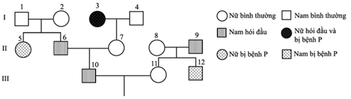 Biết rằng hai cặp gen qui định hai tính trạng nói trên không cùng nằm trong một nhóm gen liên kết: (ảnh 1)