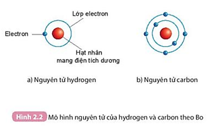 Quan sát Hình 2.2, áp dụng mô hình nguyên tử của Bo, mô tả cấu tạo của nguyên tử hydrogen và nguyên tử carbon. (ảnh 1)