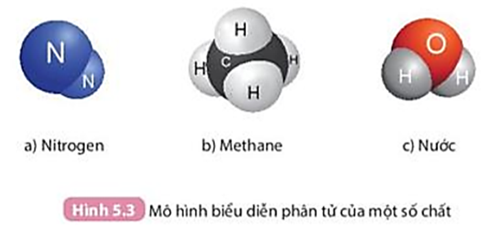 Sử dụng giá trị khối lượng nguyên tử của một số nguyên tố trong bảng tuần hoàn để tính khối lượng phân tử của các chất được biểu diễn trong Hình 5.3a và Hình 5.3b. (ảnh 1)