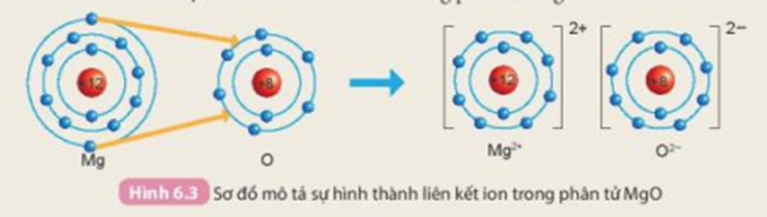 Cho sơ đồ mô tả sự hình thành liên kết ion trong phân tử magnesium oxide như sau (ảnh 1)