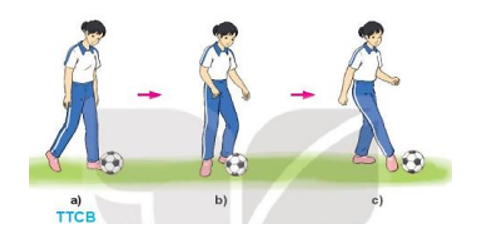Khi dẫn bóng bằng lòng bàn chân, để bóng lăn đúng hướng phải thực hiện đúng những yêu cầu nào (ảnh 2)