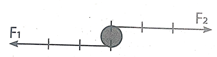 Một vật đang đứng yên thì chịu tác dụng của hai lực F1, F2 (hình dưới).  (ảnh 3)