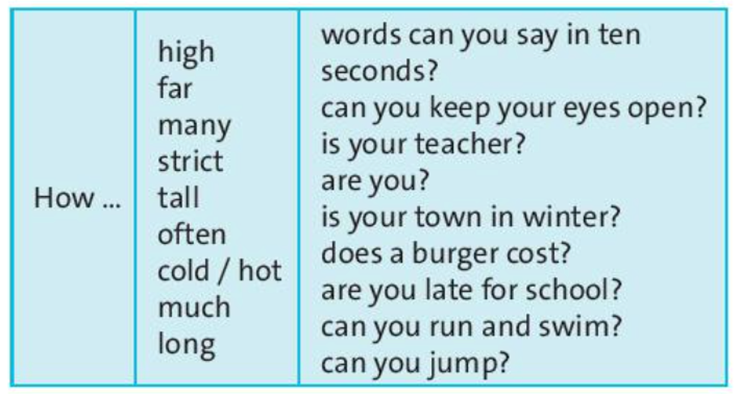 USE IT! Make questions with “How” and the words in the table (ảnh 1)